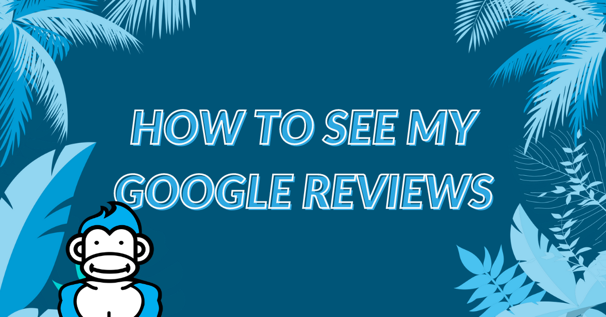 Image displaying the guide title "How to see my Google Reviews"